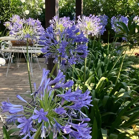 Corfu River Loft Appartamento